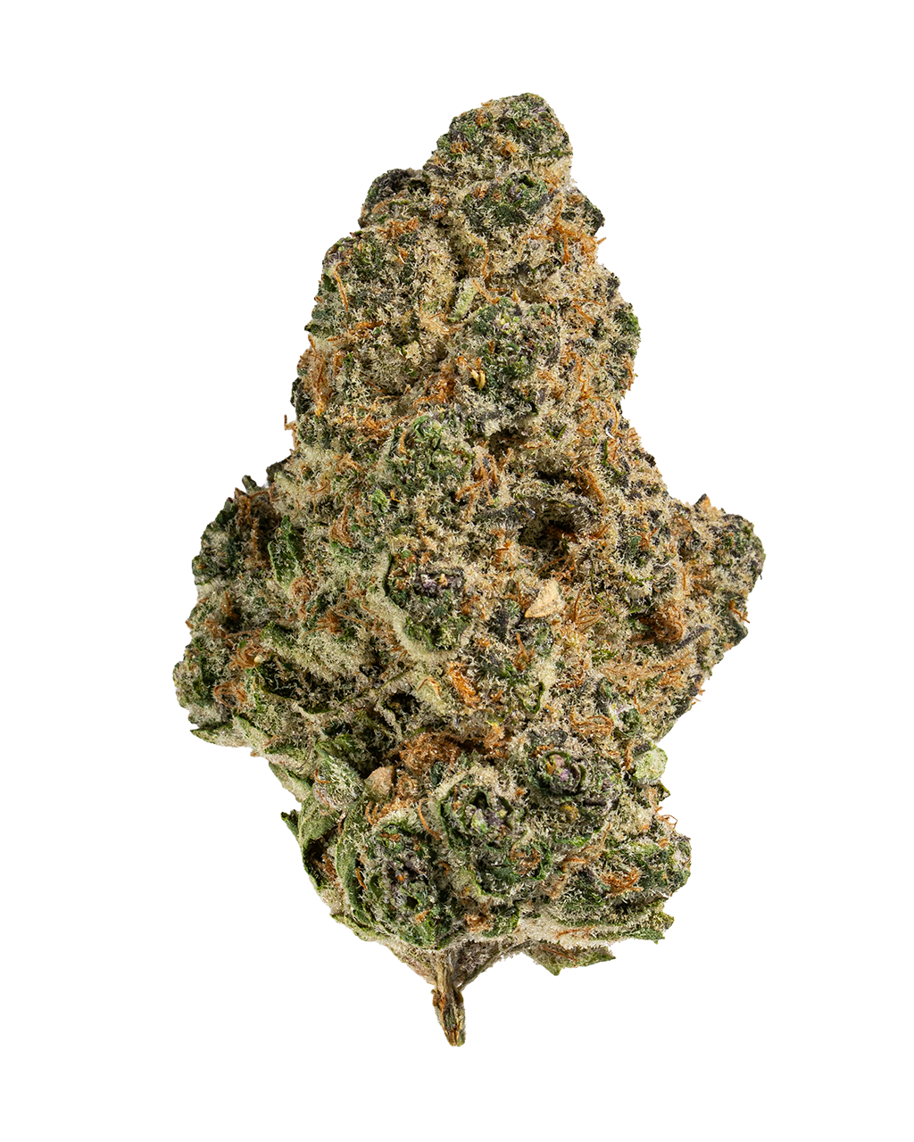 Exotics Blue Dream cannabis sativa strain flower bud