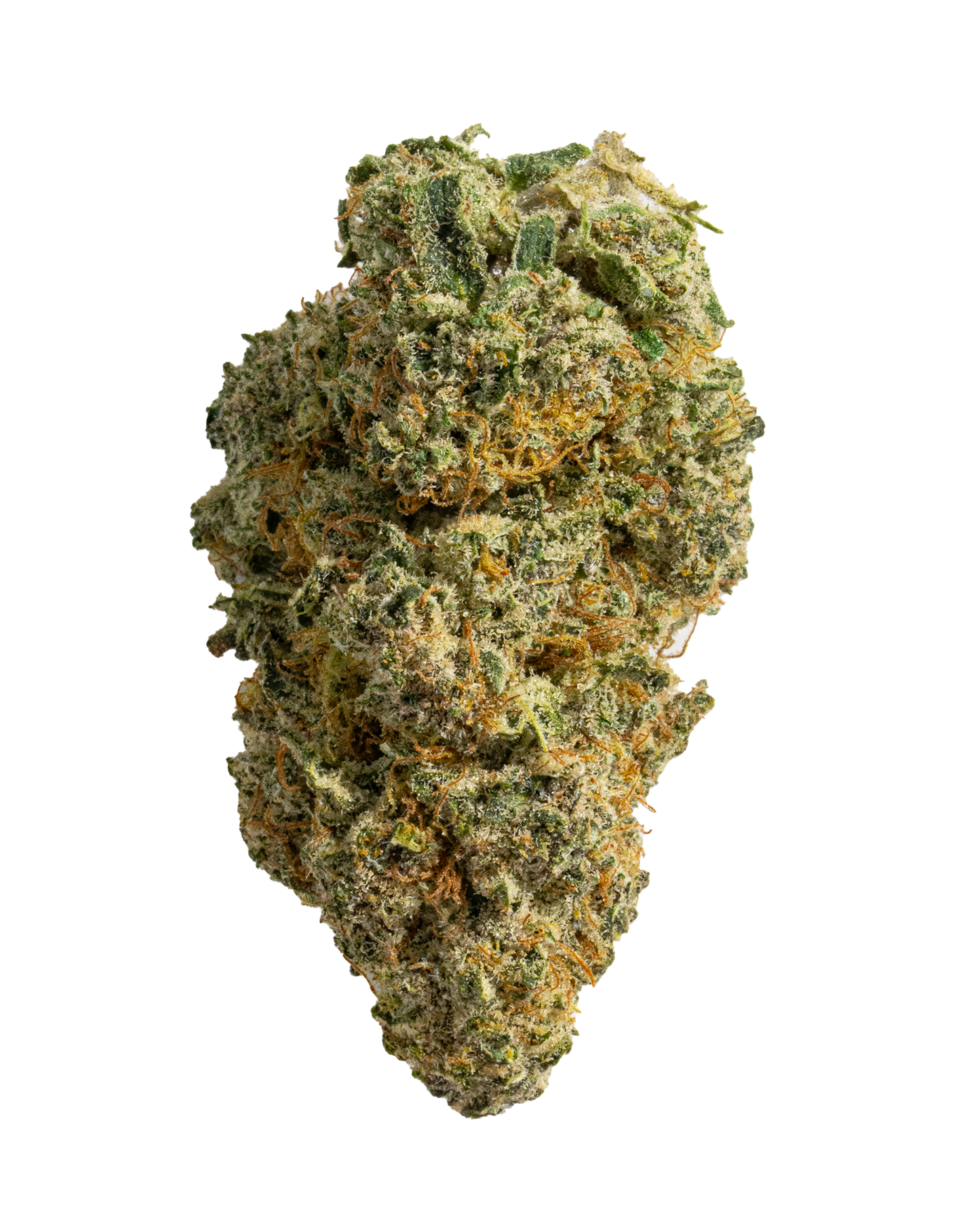 Exotics Bubba x Biscotti cannabis hybrid strain flower