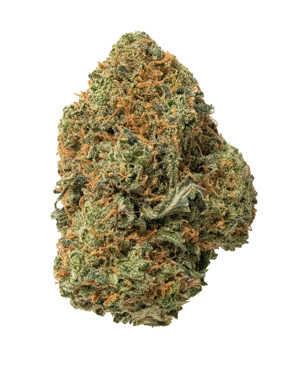Exotics Durban Poison sativa cannabis strain flower bud