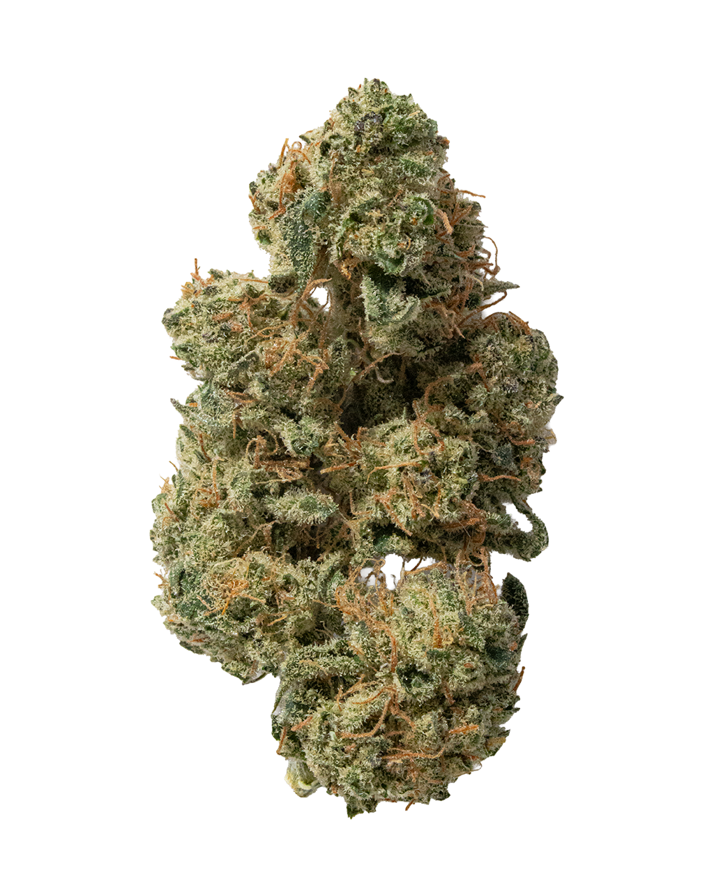Orange Cake