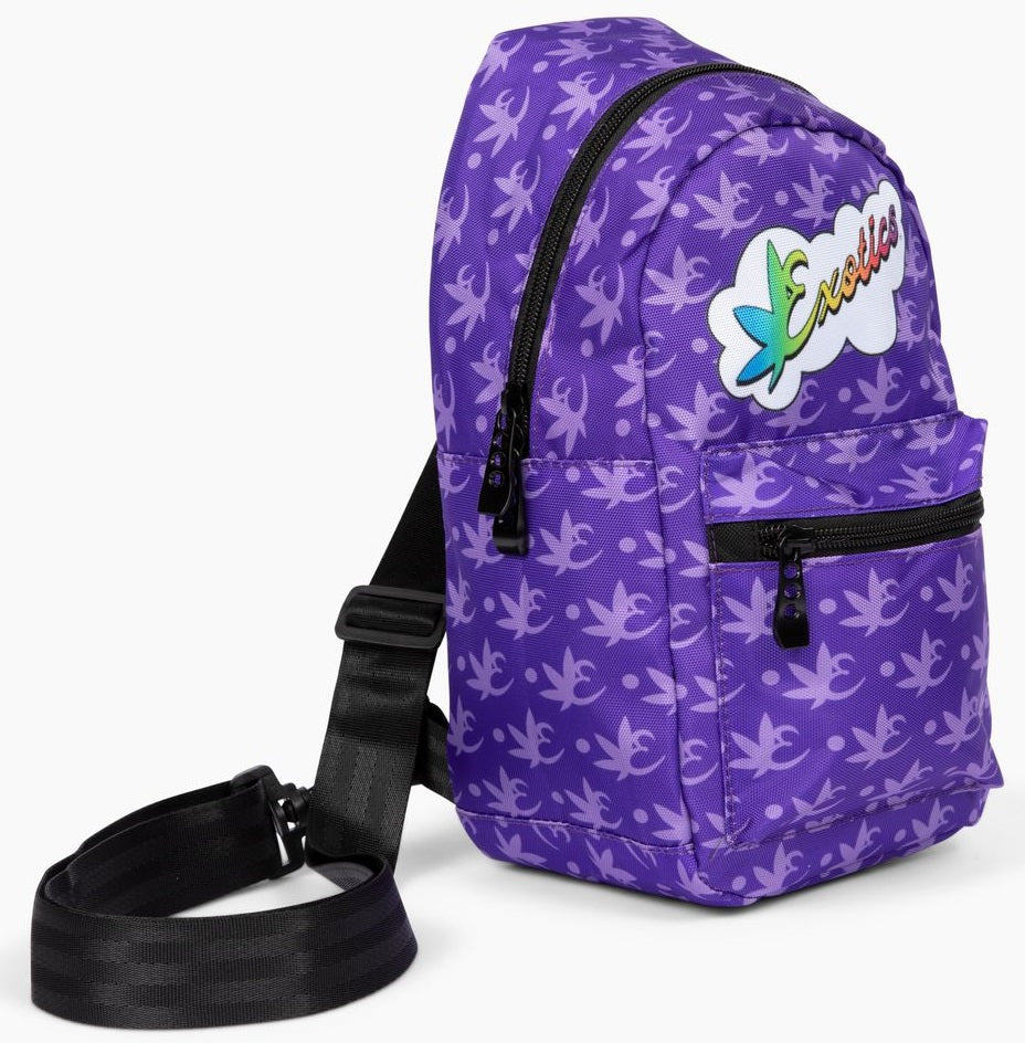 Purple Exotics crossbody shoulder bag with rainbow logo