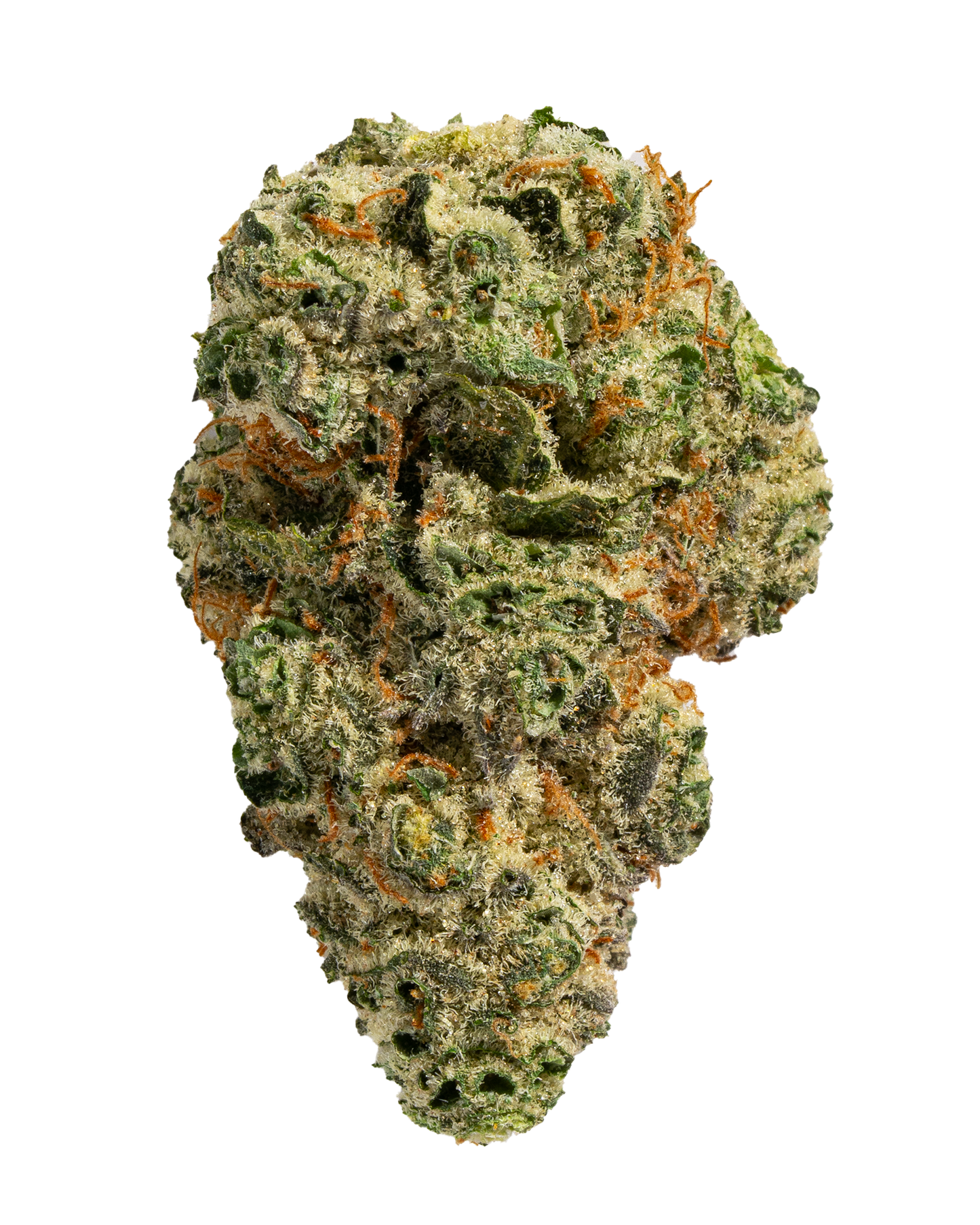 Exotics Rainbow Push Pop cannabis indica hybrid strain flower