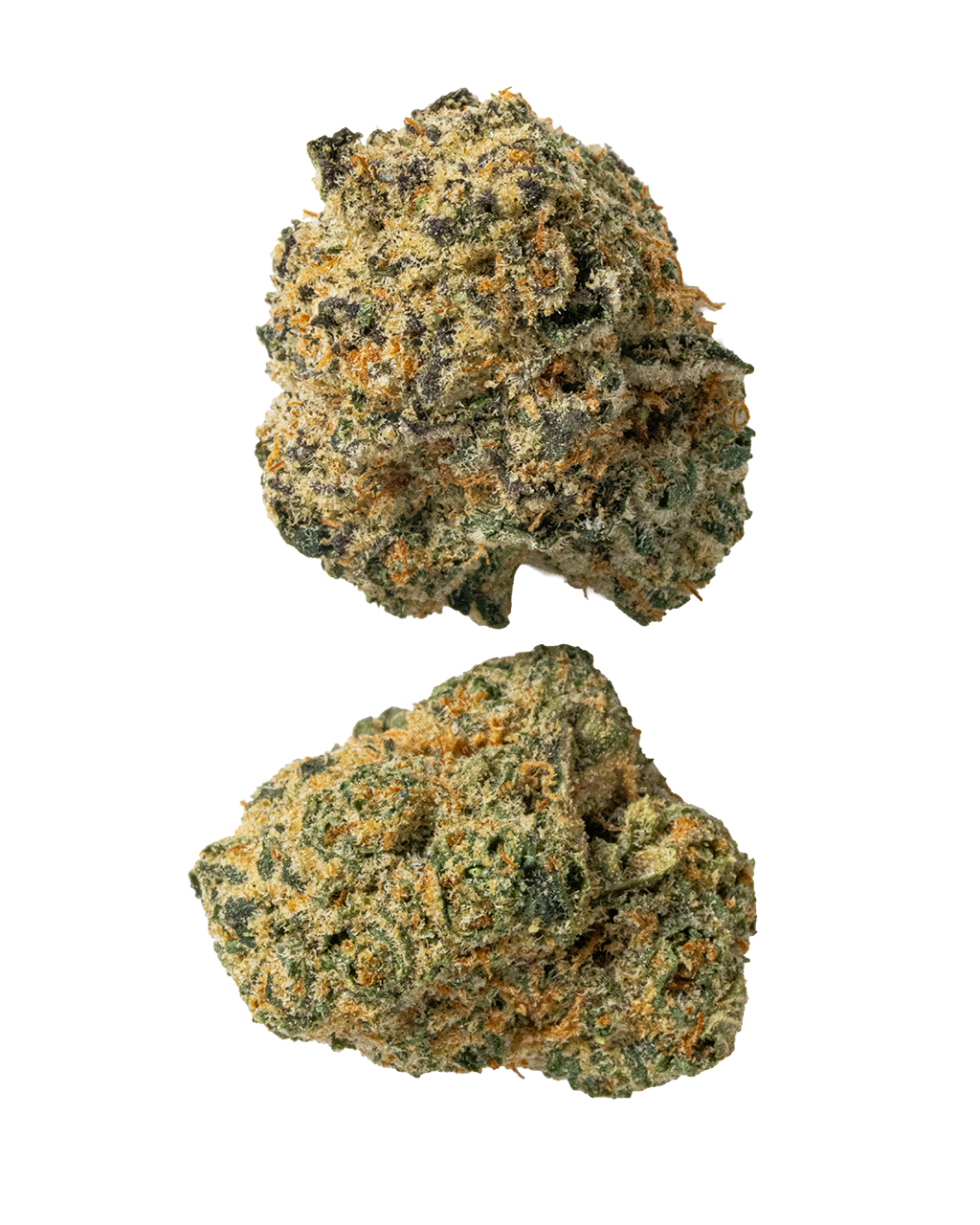 Exotics Sugar Plum sativa cannabis strain flower buds