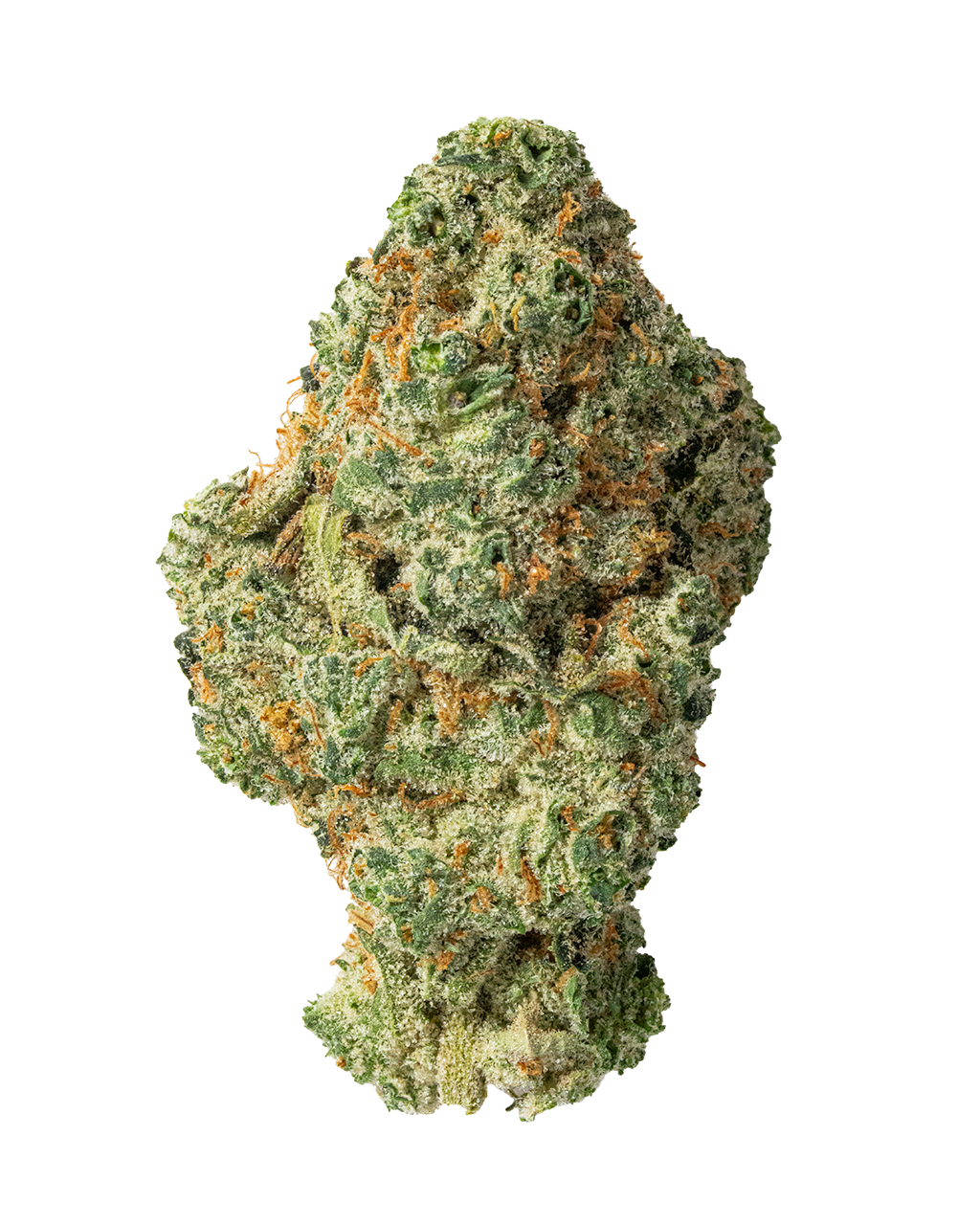 Exotics Super Boof hybrid cannabis strain flower bud