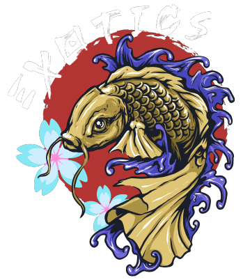 Exotics koi fish and flowers design artwork