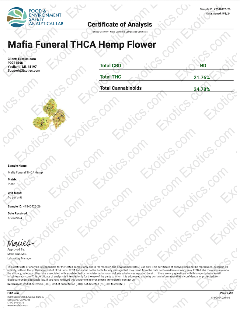 Mafia Funeral Download