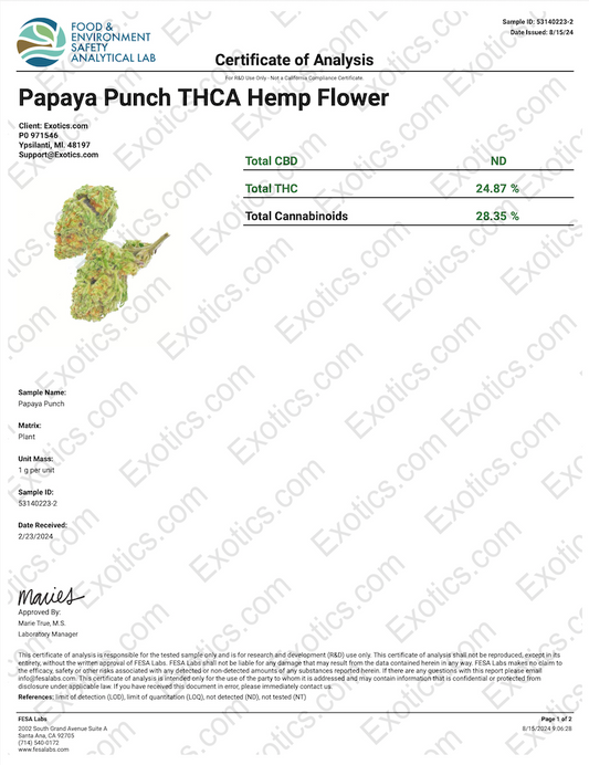 Papaya Punch Download