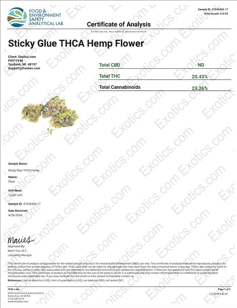 Sticky Glue Download