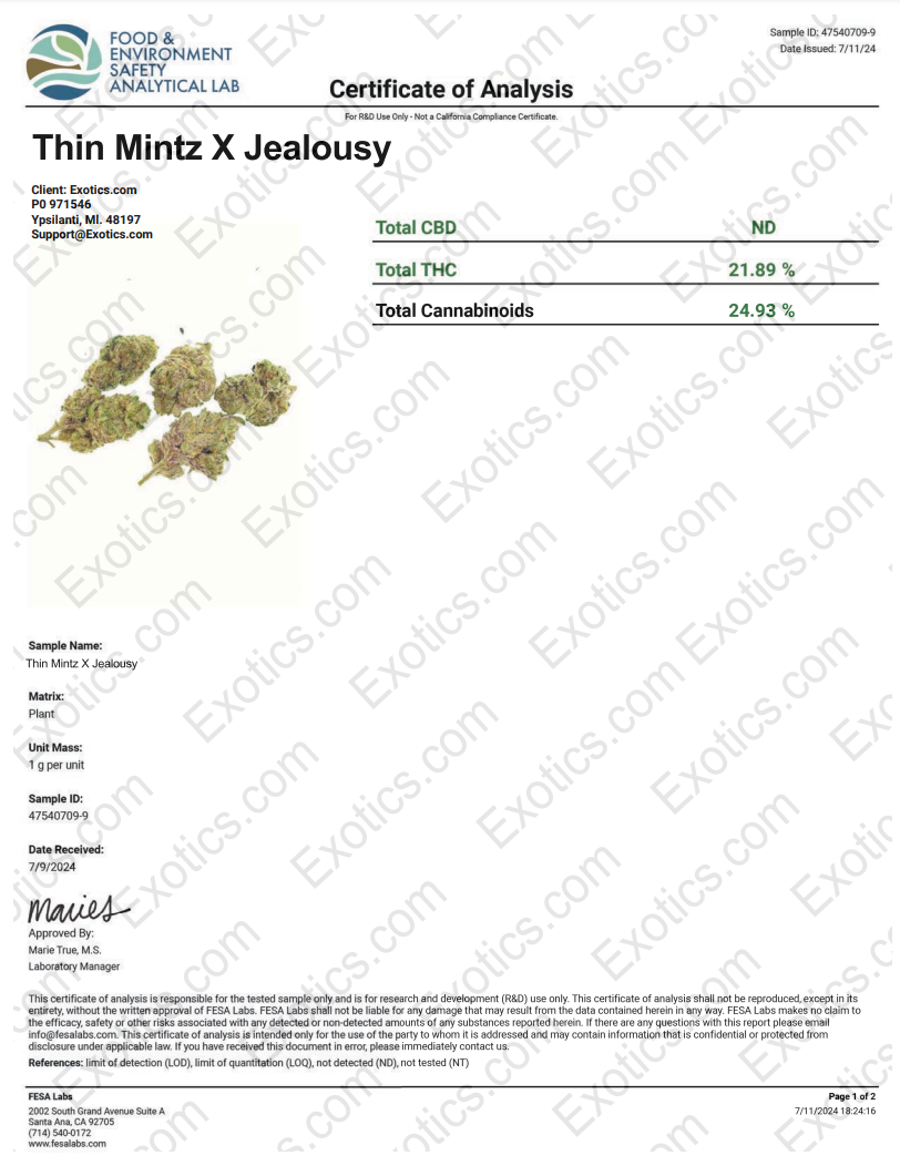 Thin Mintz x Jealousy Download