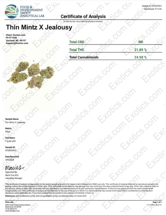 Thin Mintz x Jealousy Download