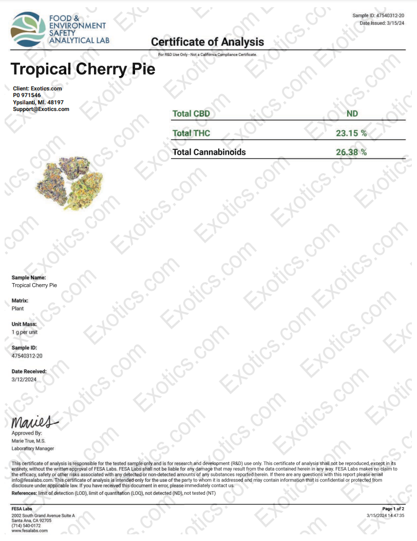 Trop Cherry Download