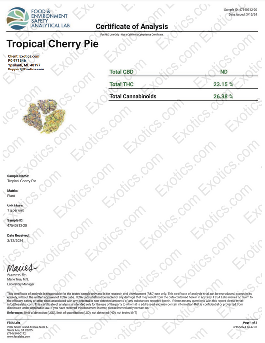 Trop Cherry Download