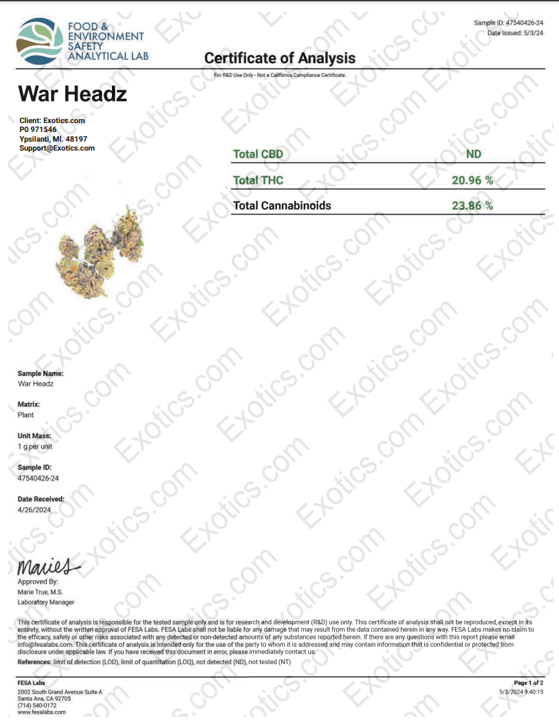 War Heads Download