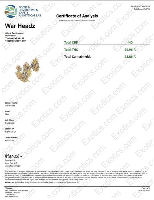 War Heads Download