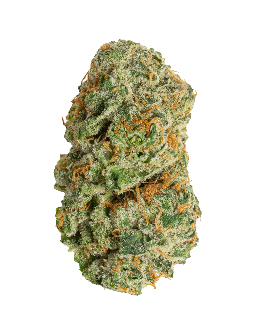 Exotics Ace of Spades cannabis indica strain flower bud