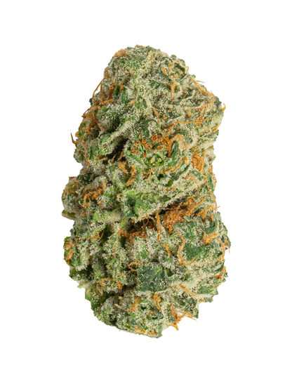 Exotics Ace of Spades cannabis indica strain flower bud