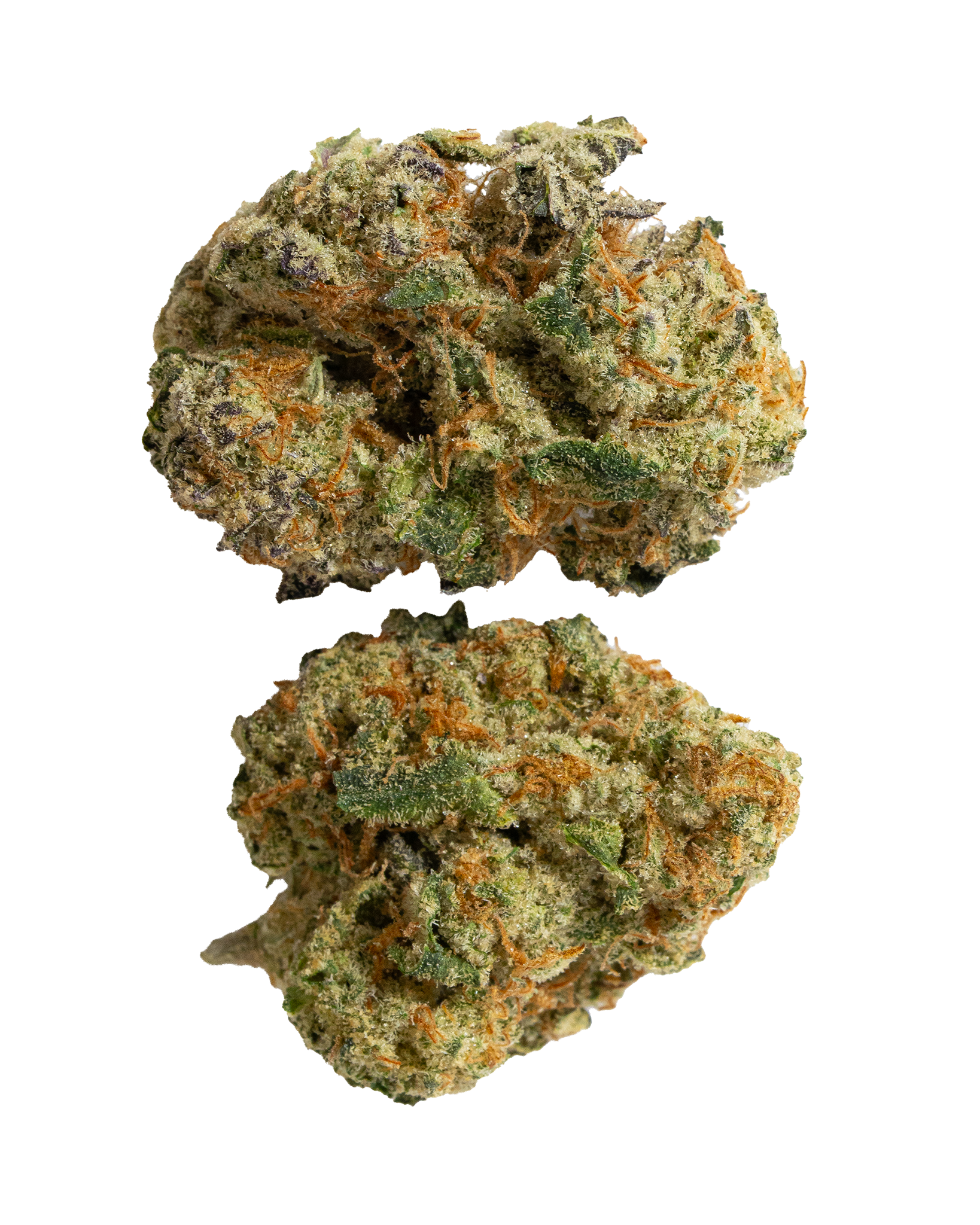 Exotics Apple Fritter cannabis hybrid strain flower
