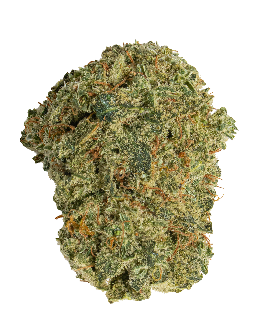 Exotics Apricot Jelly cannabis sativa strain flower bud