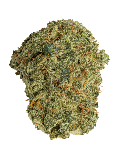 Exotics Apricot Jelly cannabis sativa strain flower bud