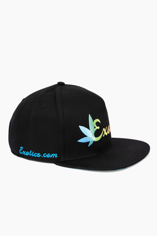 Black Exotics rainbow logo snapback hat with blue brim