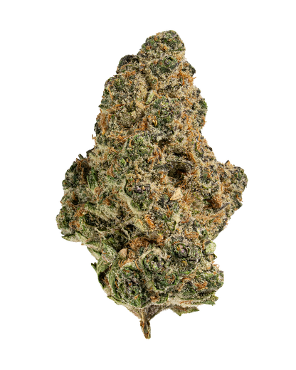 Exotics Blue Dream cannabis sativa strain flower bud