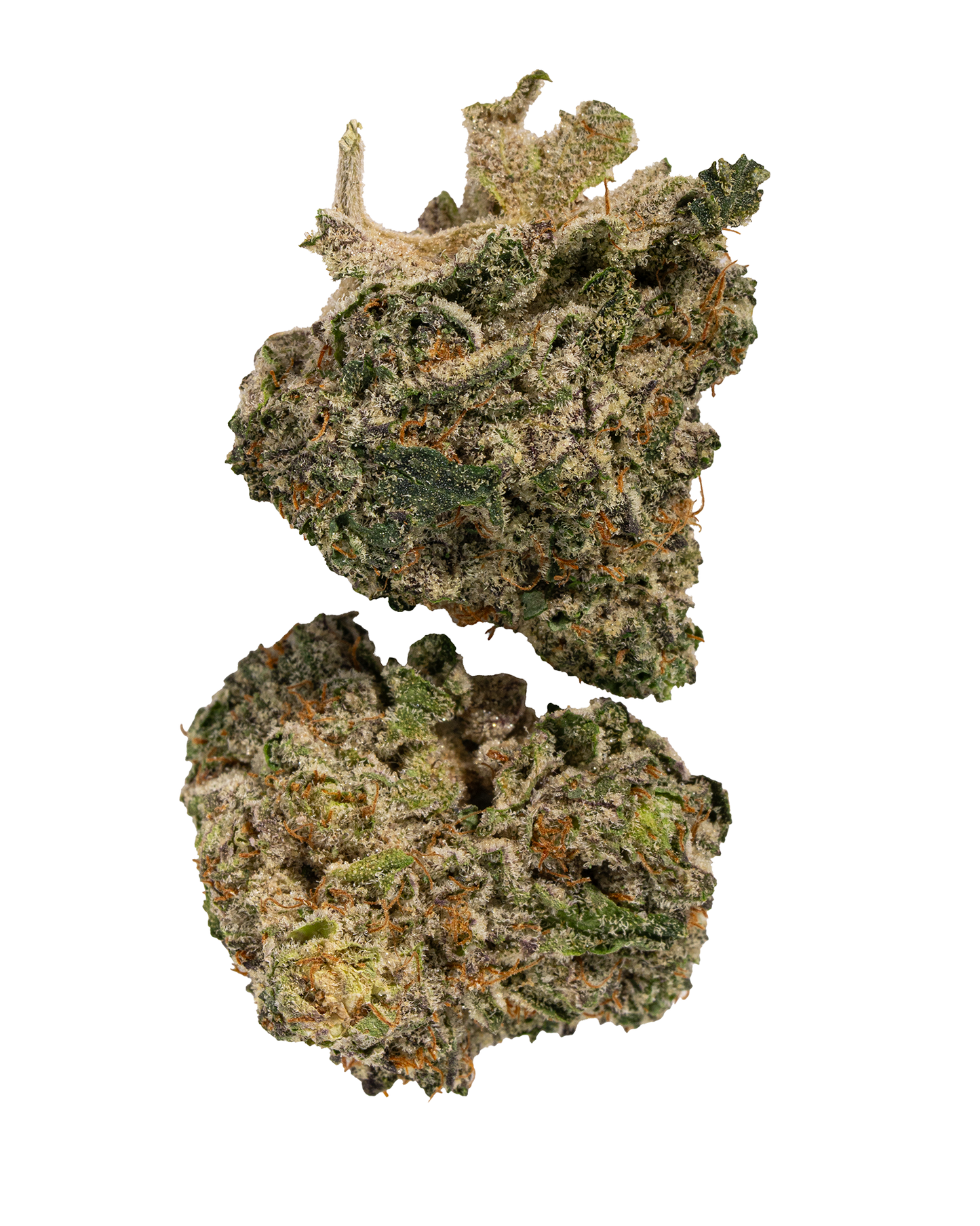 Exotics Blueberry Headband cannabis hybrid strain flower