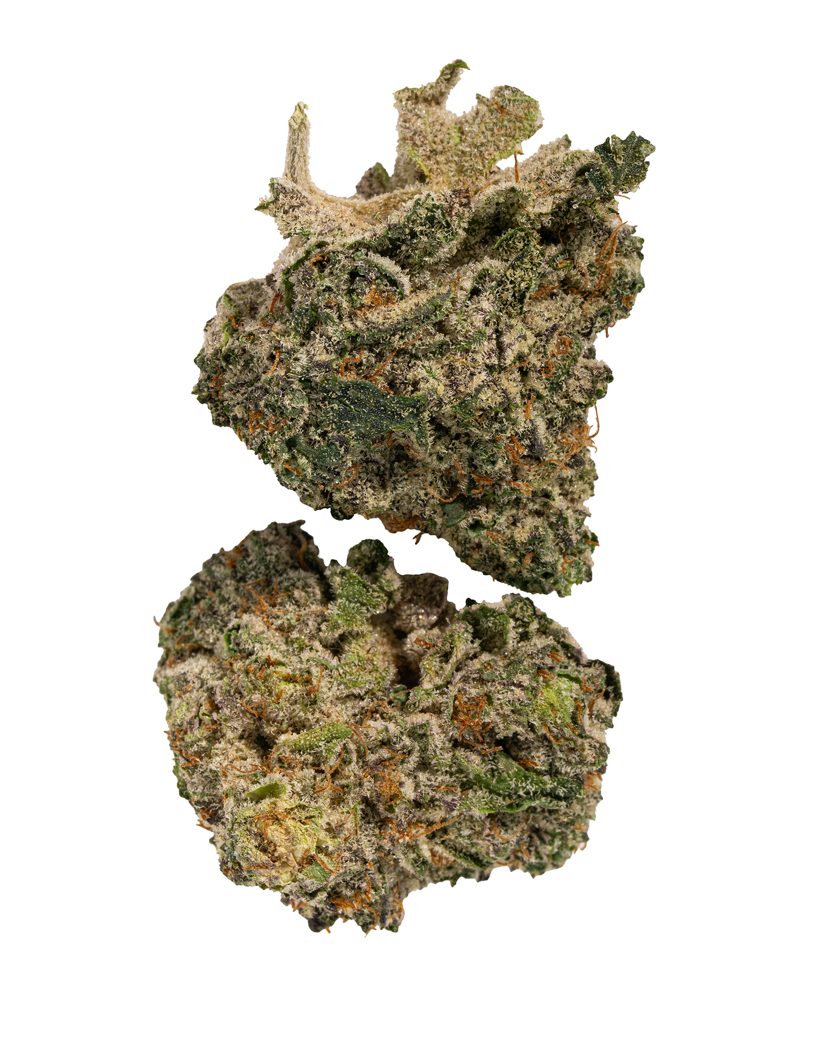 Exotics Blueberry Headband cannabis hybrid strain flower