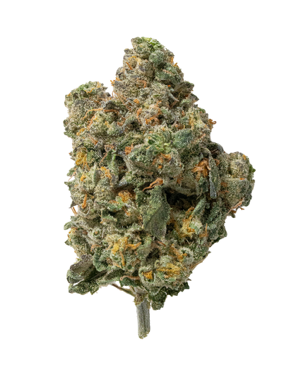 Exotics Cheetoz cannabis sativa hybrid strain flower