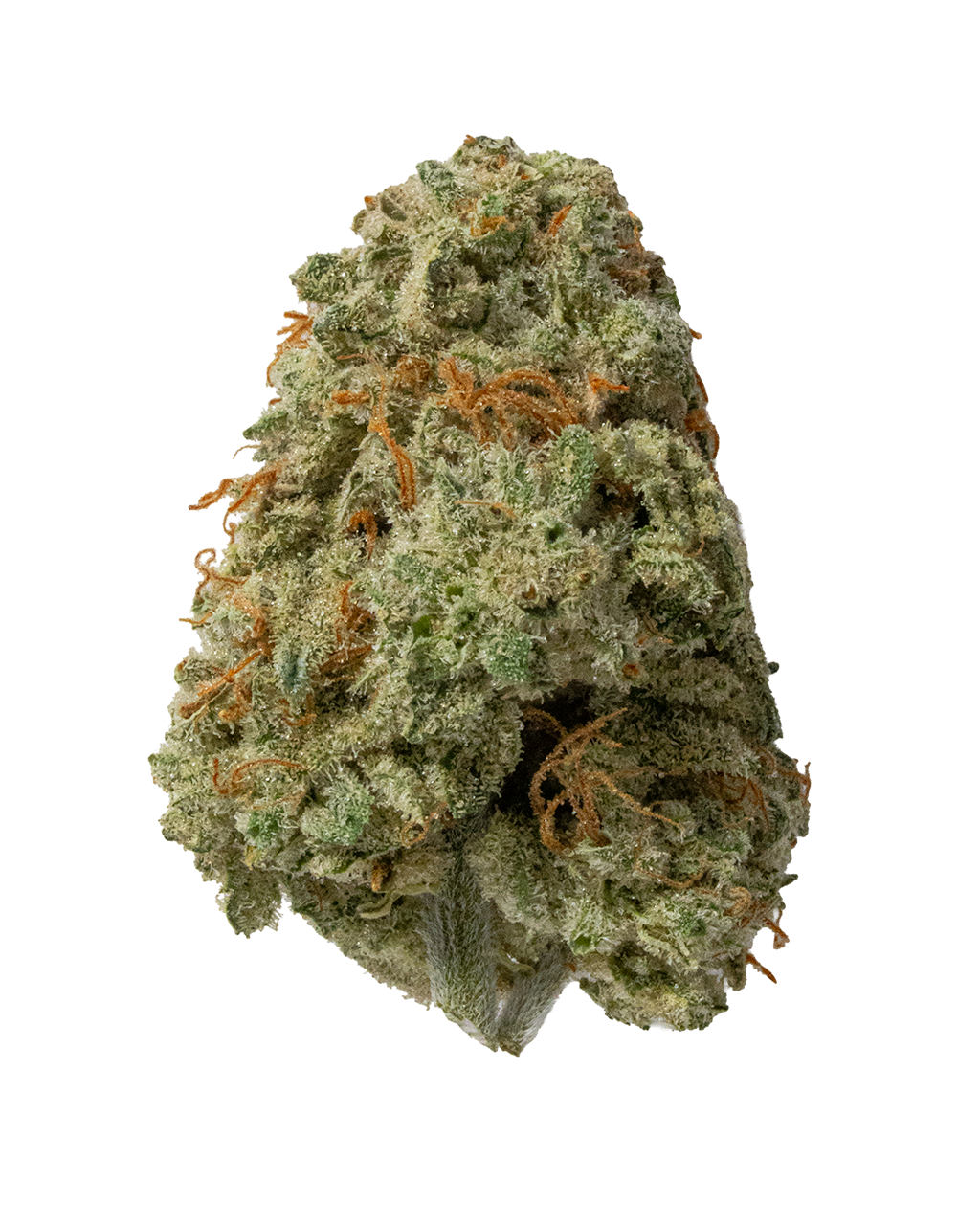 Exotics Crescendo RBX cannabis hybrid strain flower bud
