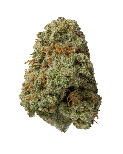 Exotics Crescendo RBX cannabis hybrid strain flower bud