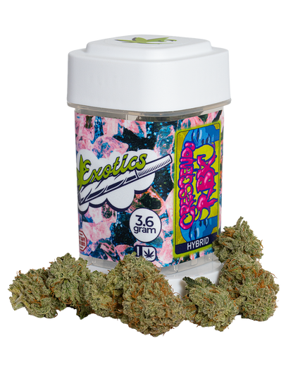 Exotics Crescendo RBX cannabis hybrid strain container and flower buds