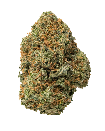 Exotics Durban Poison sativa cannabis strain flower bud