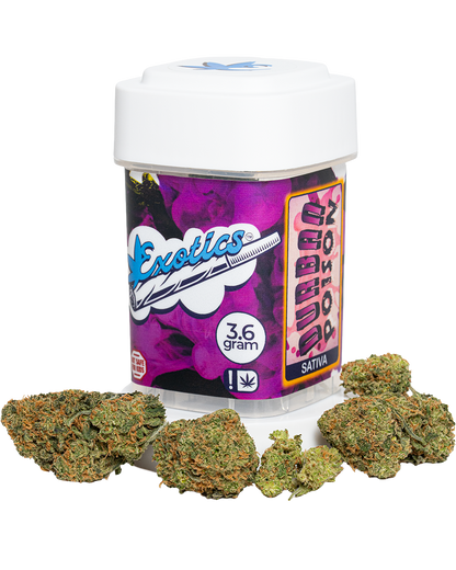 Exotics Durban Poison sativa cannabis strain container and buds