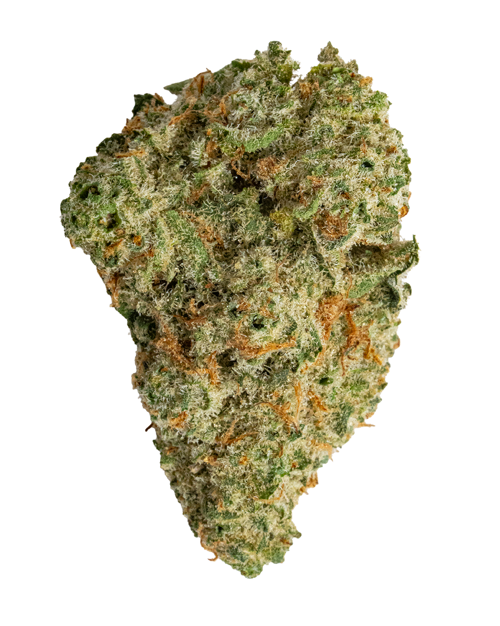 Exotics Euphoria sativa hybrid cannabis strain flower bud