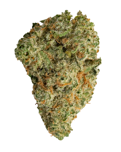 Exotics Euphoria sativa hybrid cannabis strain flower bud