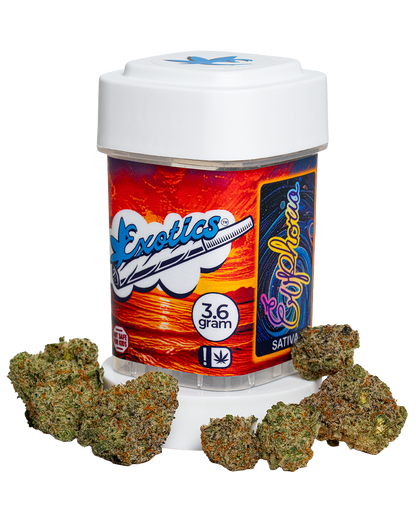 Exotics Euphoria sativa hybrid cannabis strain container and buds