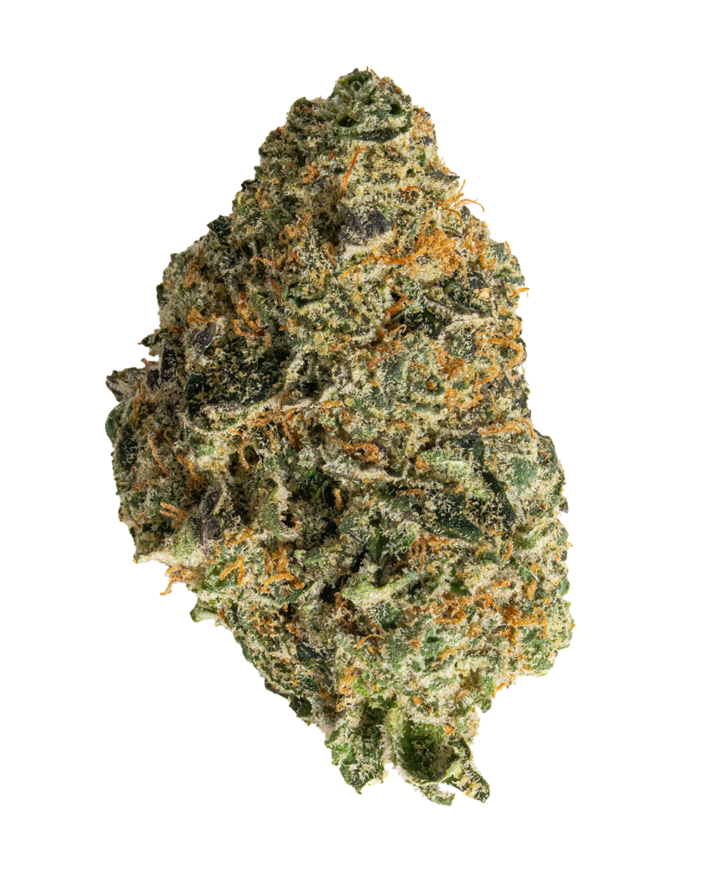 Exotics Flo Ruit cannabis hybrid strain flower bud