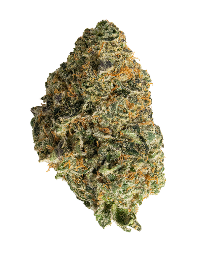 Exotics Flo Ruit cannabis hybrid strain flower bud