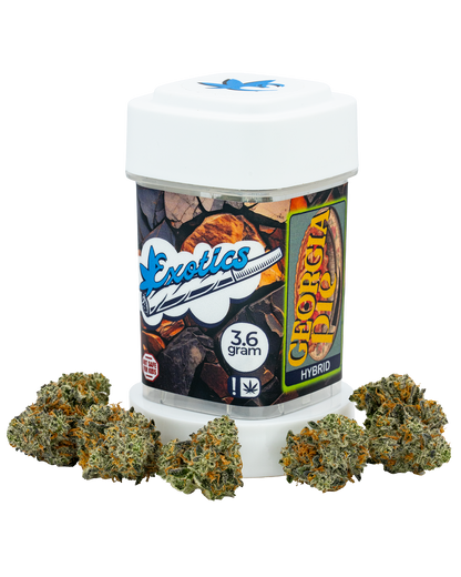 Exotics Georgia Pie cannabis hybrid strain