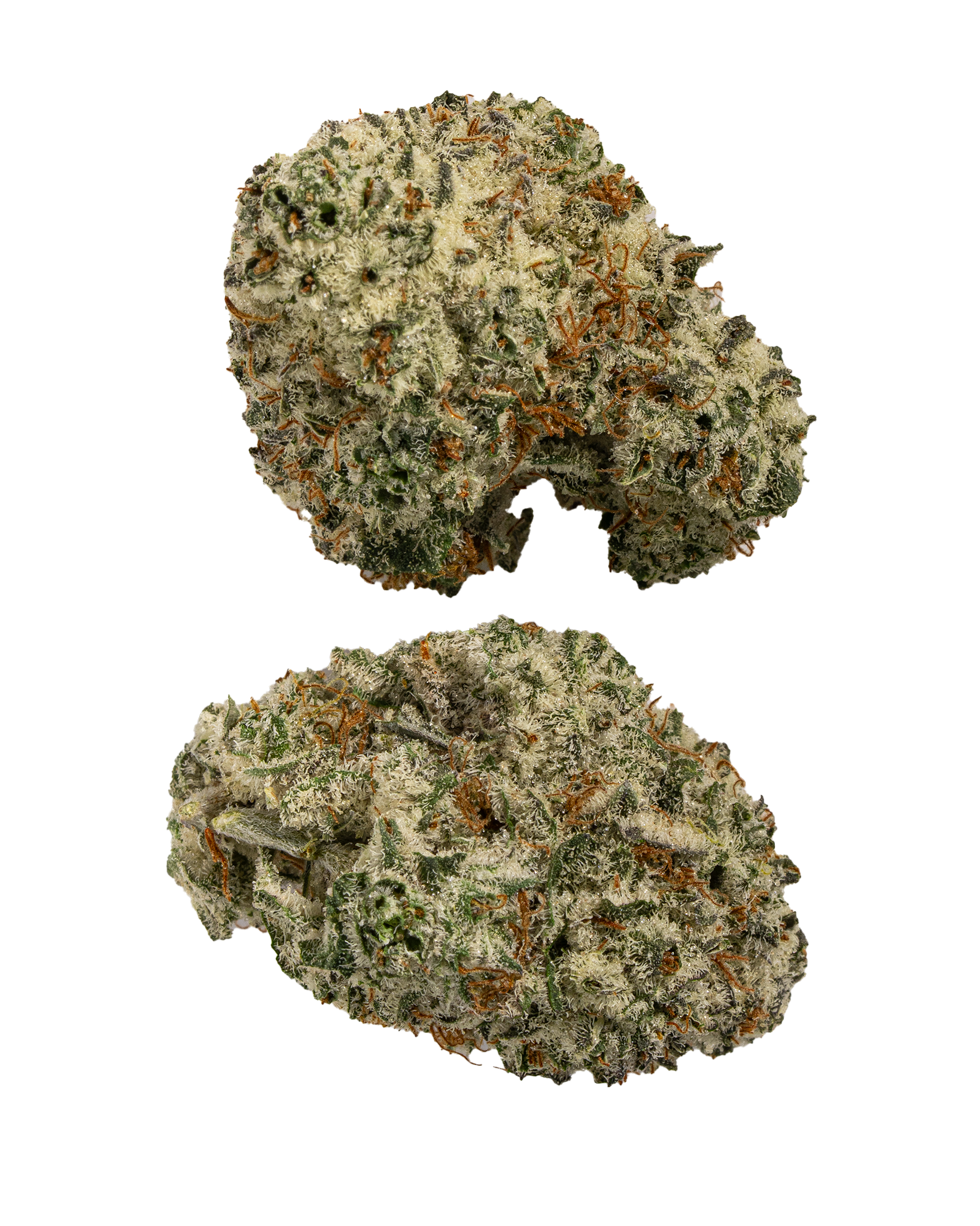 Exotics Glitter Bomb cannabis hybrid strain flower