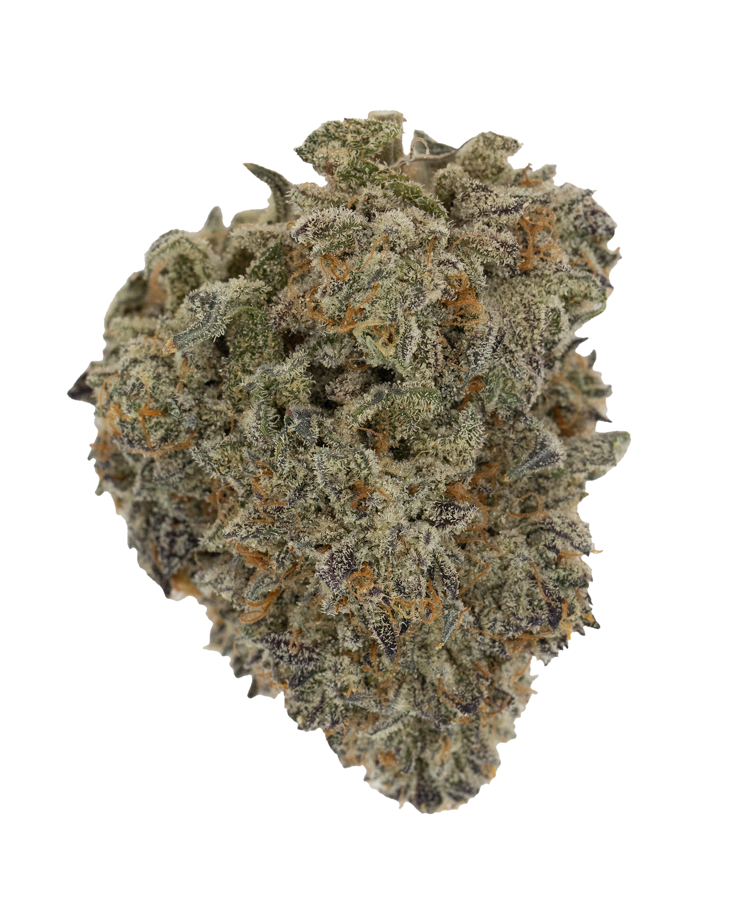 Exotics Golden Gas cannabis hybrid strain flower