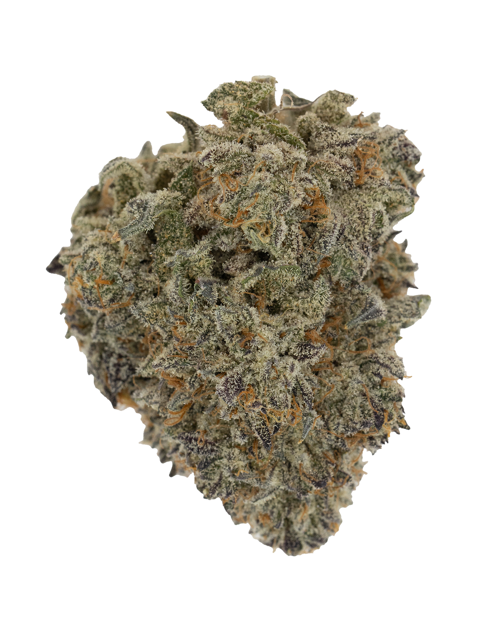 Exotics Golden Gas cannabis hybrid strain flower