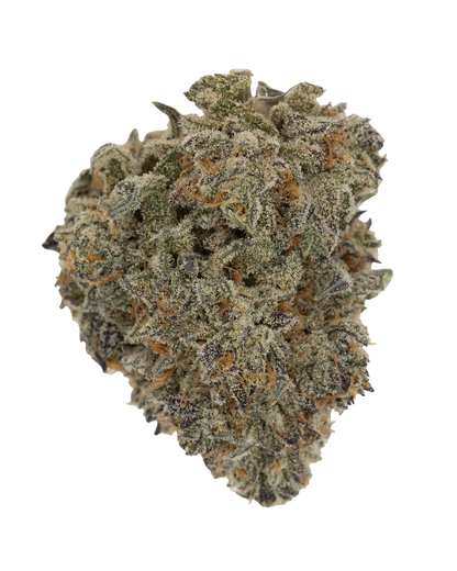 Exotics Golden Gas cannabis hybrid strain flower