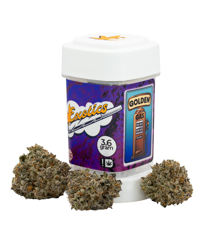 Exotics Golden Gas cannabis hybrid strain