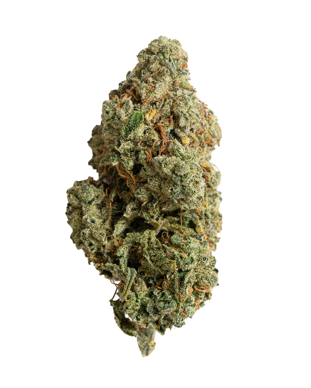 Exotics Gorilla Glue cannabis hybrid strain flower bud