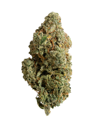 Exotics Gorilla Glue cannabis hybrid strain flower bud
