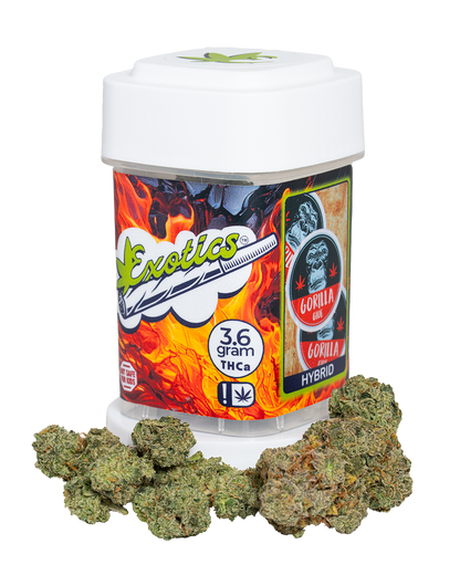 Exotics Gorilla Glue cannabis hybrid strain container and flower buds
