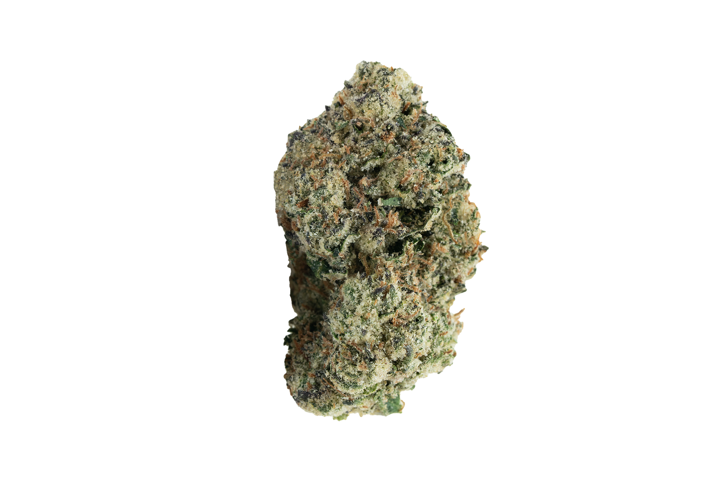 Exotics GovernMint Oasis cannabis hybrid strain flower