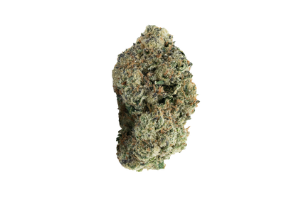 Exotics GovernMint Oasis cannabis hybrid strain flower