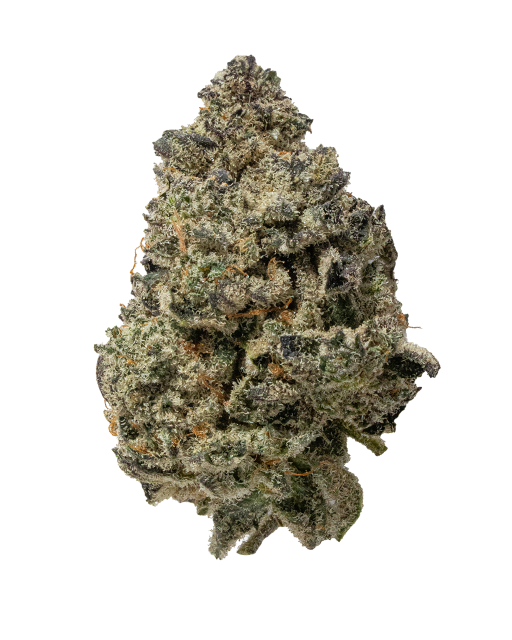 Exotics Grape Cream cannabis hybrid strain flower